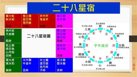 冠帶是什麼意思|長生十二神【冠帶】在命盤十二宮